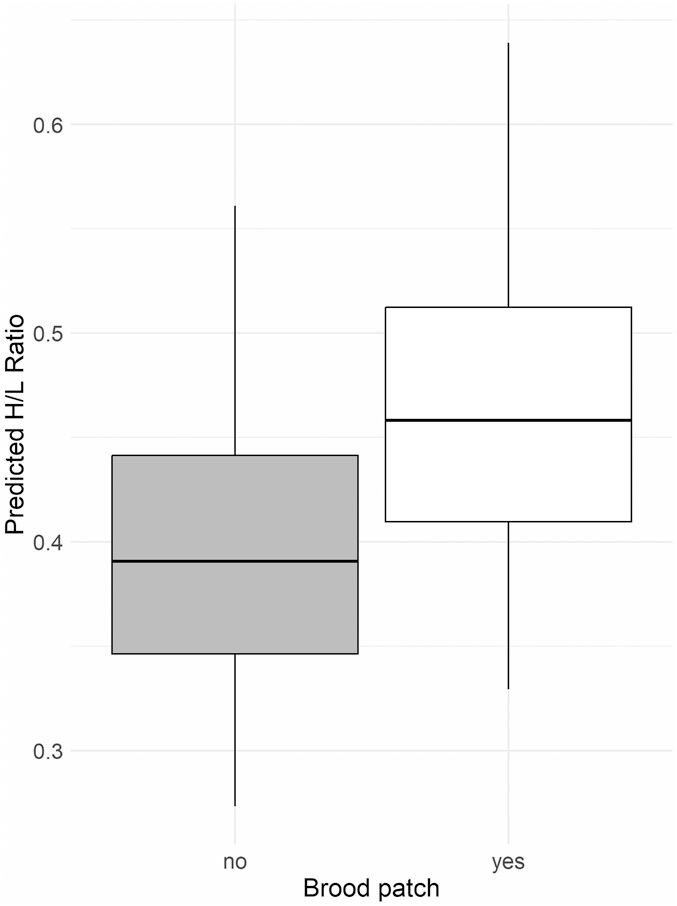 Fig. 3 from the article: the predicted H/L values of the model on potentially incubating birds.