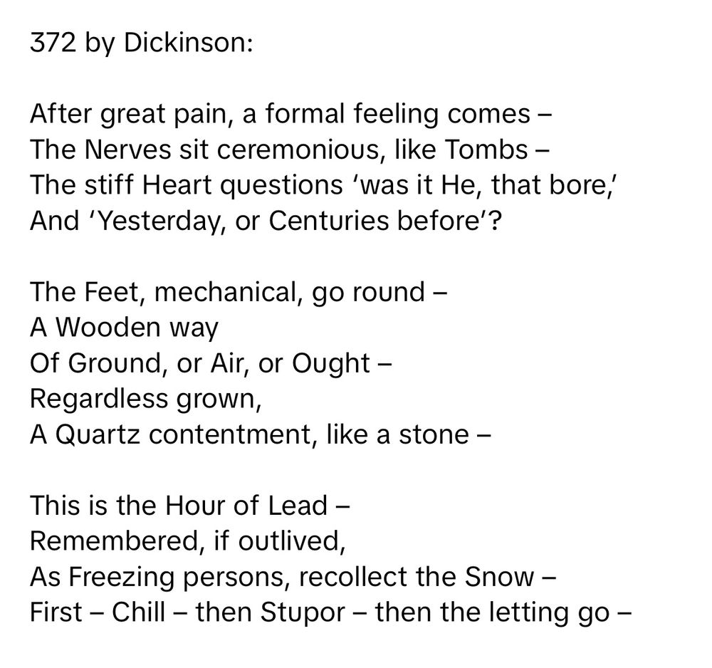 Chronic pain poem by Dickinson. Poem 372 of hers.