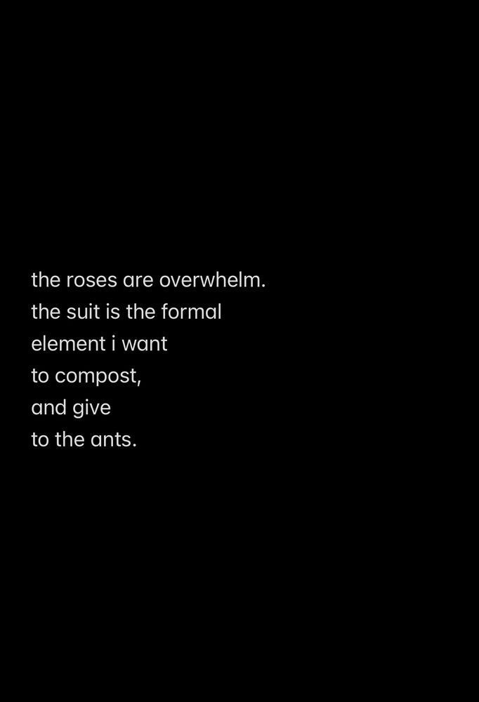 Continuation of poem. Final slide.