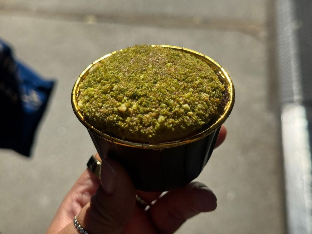 Close up of a chocolate cupcake with green, moss like topping