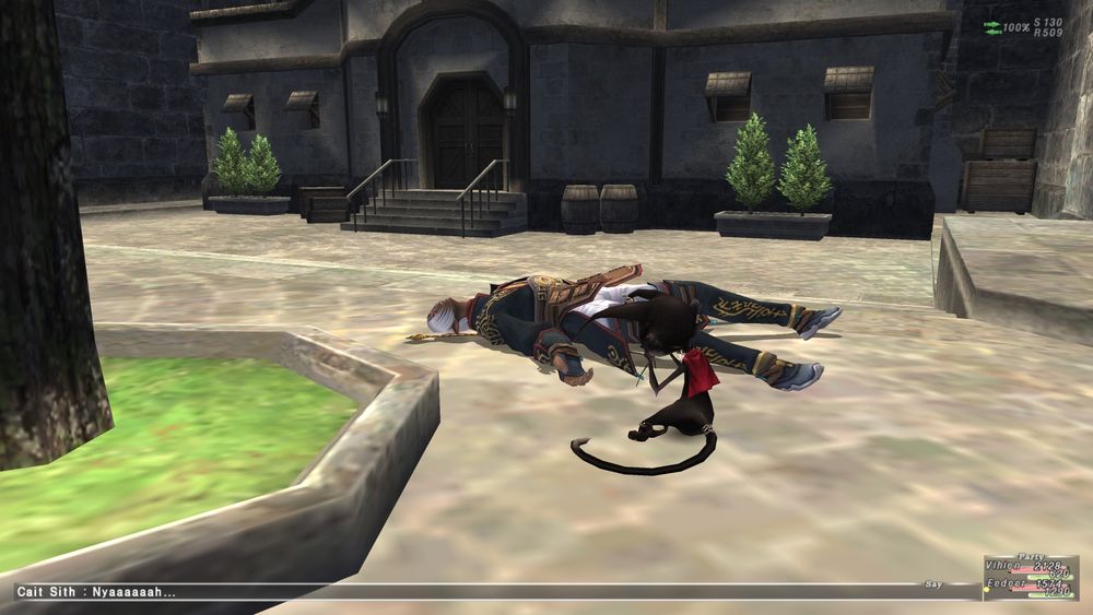 Screenshot of Final Fantasy XI, in which the player character (a male Elvaan) has been knocked out by Cait Sith.