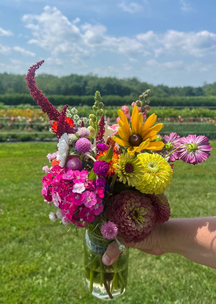 Photo of a mason jar filled with a variety of yellow, purple, orange, pink, red, green & white flowers held in front of a landscape view of flower fields on a farm