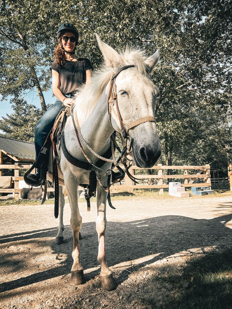 A smiling woman sits on a white mule that is standing with its eyes shut