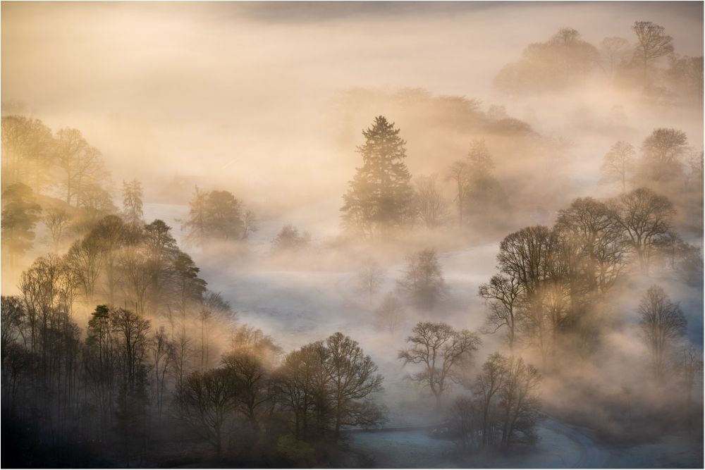 Mist and warm winter sun swirl around the trees on a frosty autumn morning