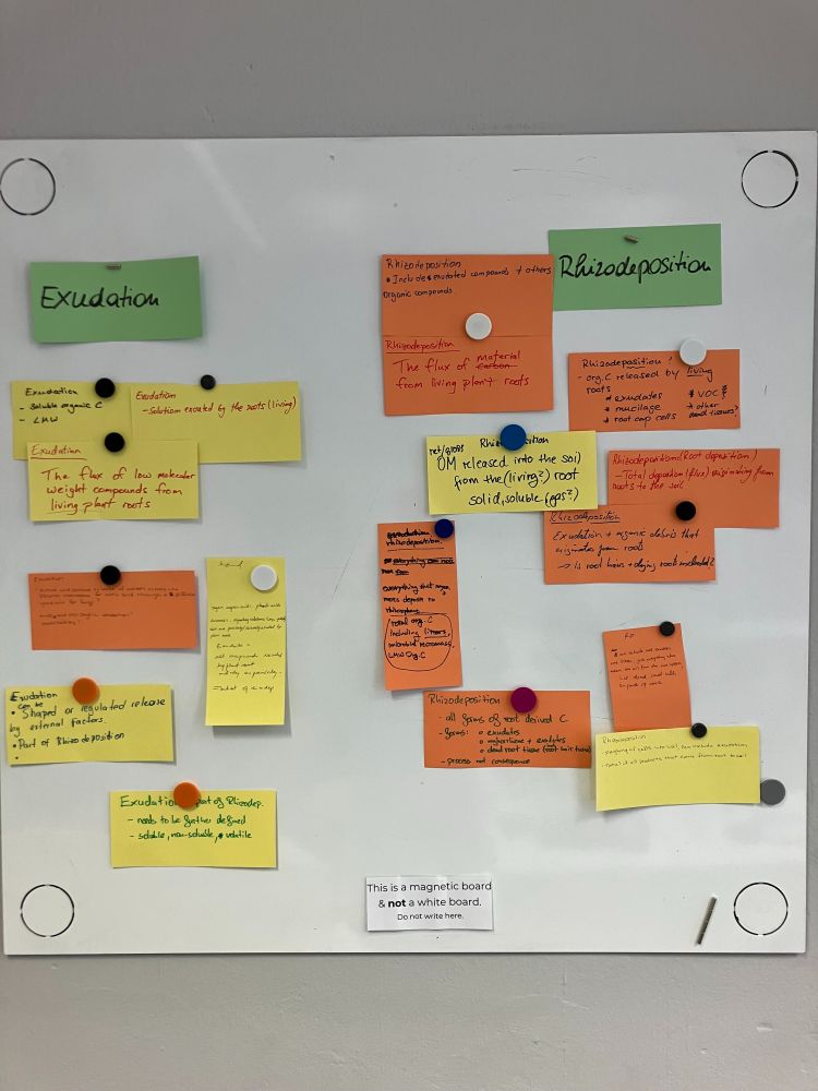 A white board with multiple yellow, orange and green post with various definitions of root exudation and rhizodeposition