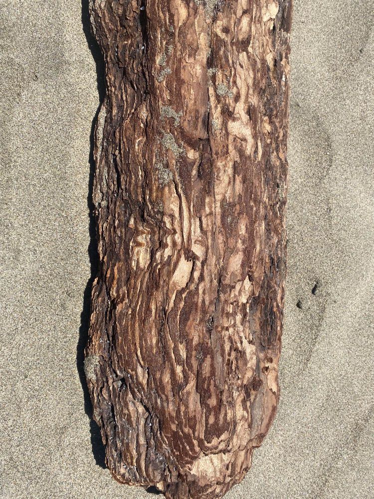 Driftwood
