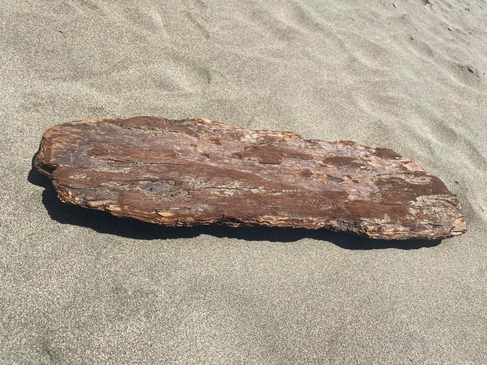 Driftwood