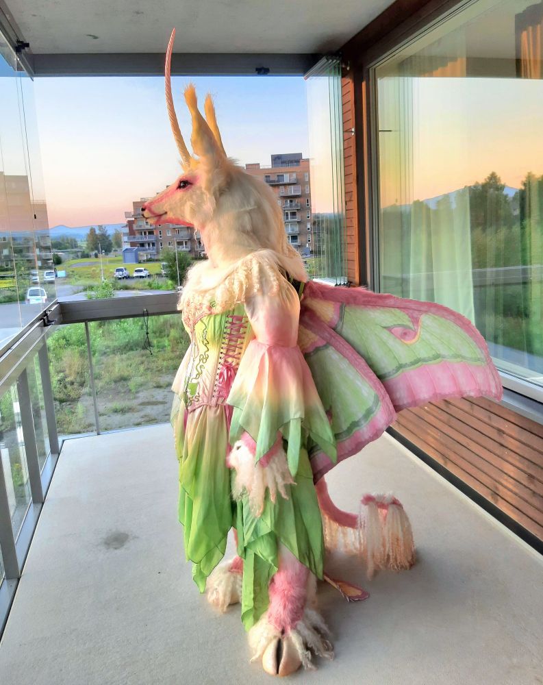 Photo (full-body view, facing left) of my new Lunacorn fursuit, doing wing tests on our apartment balcony at sunset. 