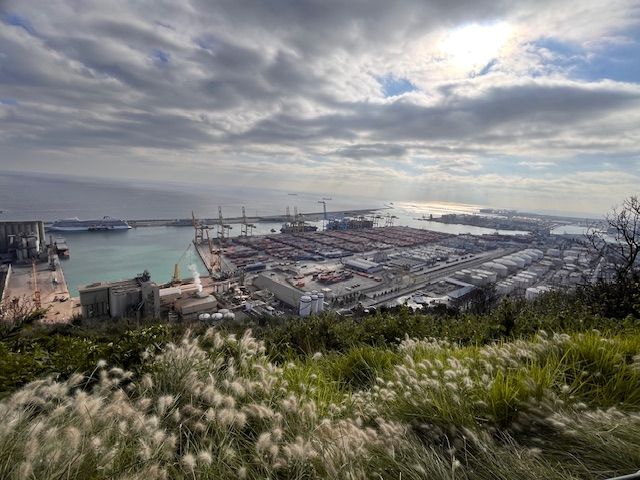 Una vista panoràmica des del vessant de Montjuïc a Barcelona, mostrant el port industrial amb contenidors i grues sota un cel ennuvolat. En primer pla es veuen plantes i herbes altes balancejant-se al vent, sota les quals estan instal·lats els sensors del projecte ResilMob que monitoritzen l'estabilitat del talús. Al fons, el mar Mediterrani i l'horitzó es fonen amb el cel.