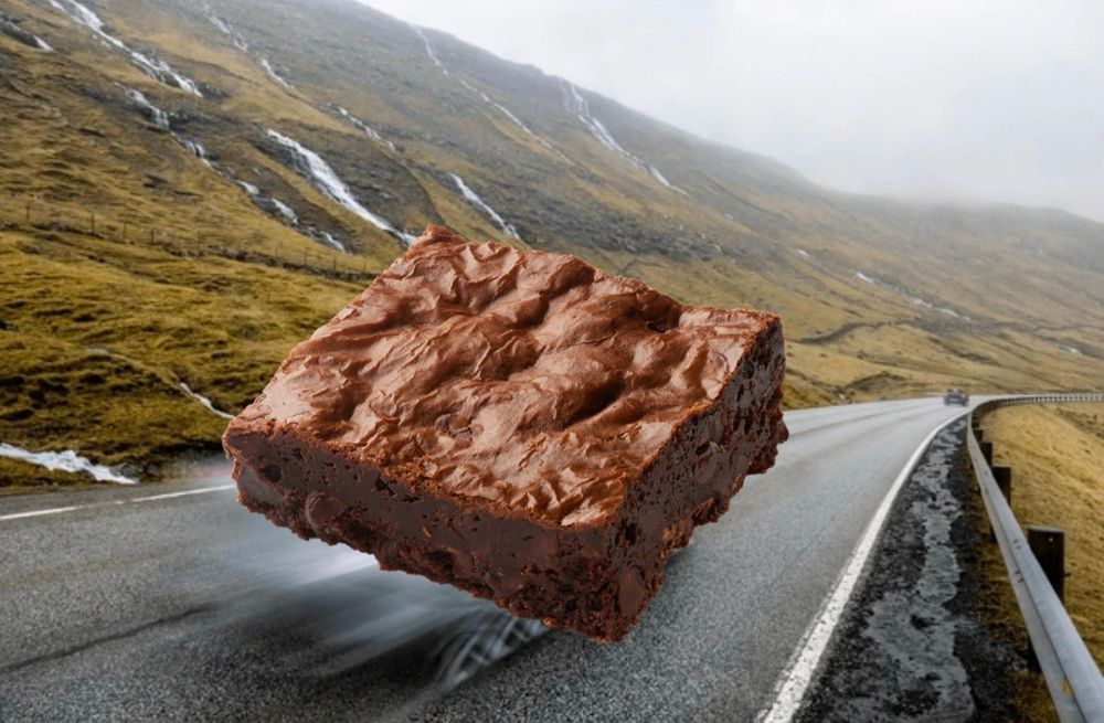 brownie moving fast on road