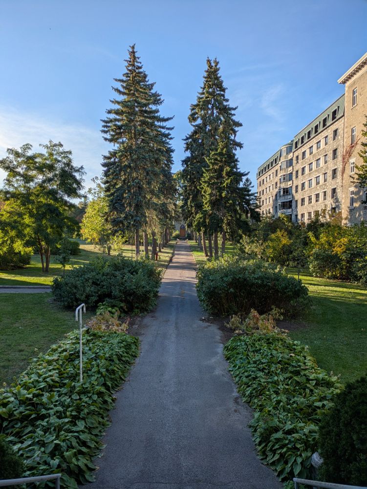 A pathway lined with tall evergreen trees and bushes, with a stone building to the left. 
