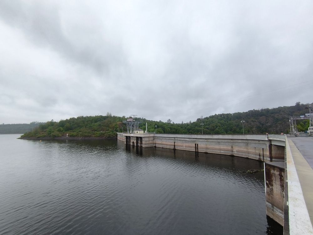Die Bleilochtalsperre mit Staumauer und Hügeln und Bäumen 