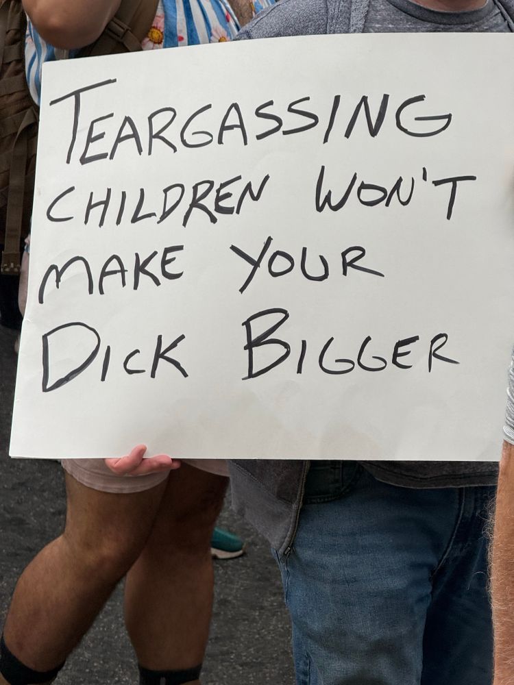 Protest sign that reads ‘Tear-gassing children won’t make your dick bigger’ 