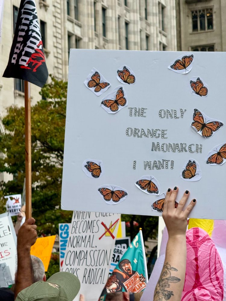 A protest sign at the Chicago No Kings rally featuring pasted on cutouts of Monarch Butterfly and the bedazzled words: "THE ONLY ORGANGE MONARCH I WANT!"