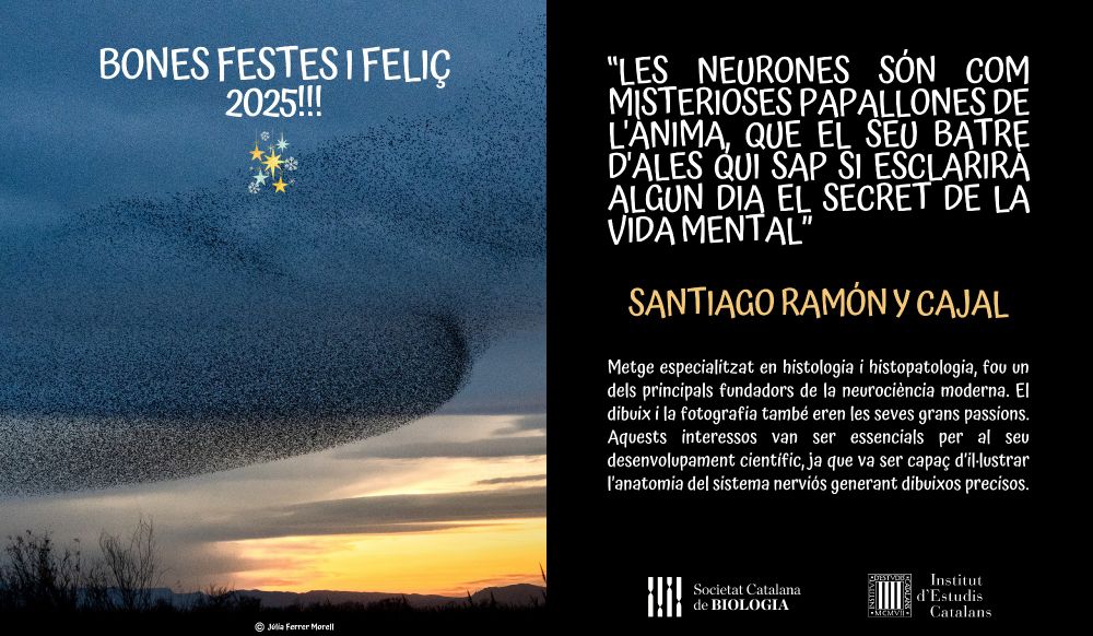 Bon Nadal i Feliç 2025!
"Les neurones són com misterioses papallones de l'ànima, que el seu batre d'ales qui sap si esclarirà algun dia el secret de la vida mental" - Santiago Ramón y Cajal