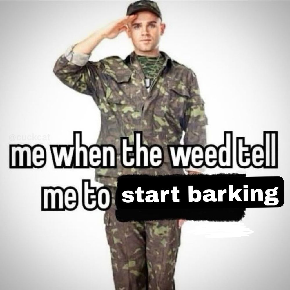 stock image of an army guy saluting in camouflage gear. it says 'me when the weed tell me to start barking' over it
