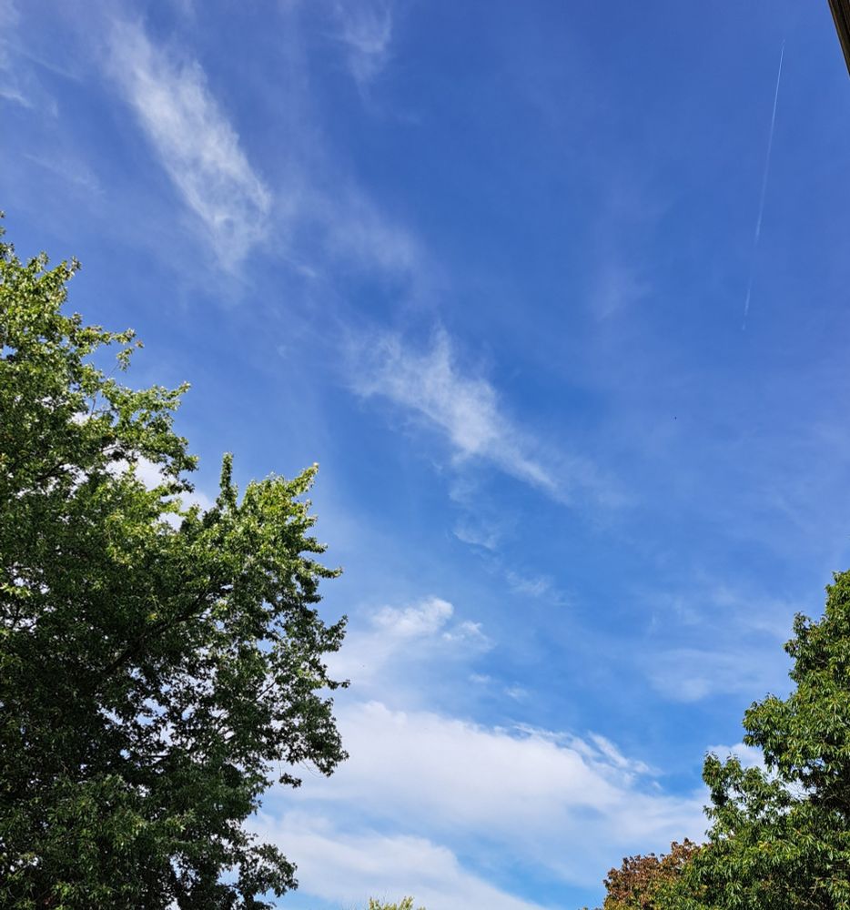 Blauer Himmel mit ein paar Wölkchen. Am linken und rechten Rand sind grüne Baumkronen.