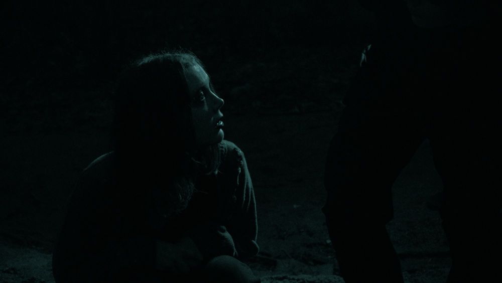 Rachel Walker and Brice Anthony Heller as they appear in the film Intravenus, appearing as Clarice and Hermey respectively. Clarice is looking up to Hermey (who is nearly offscreen) as they crouch over a stream to watch their own reflection. Clarice is looking up to Hermey, her face being illuminated by the moonlight overhead. The shot is filmed in black and white with a nocturnal green color tint over it.