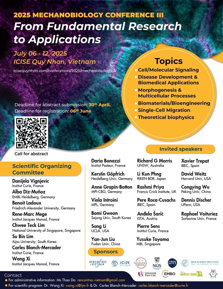 The picture shows the official flyer with more information about the conference, for example the scientific organizing committee and the invited speakers.