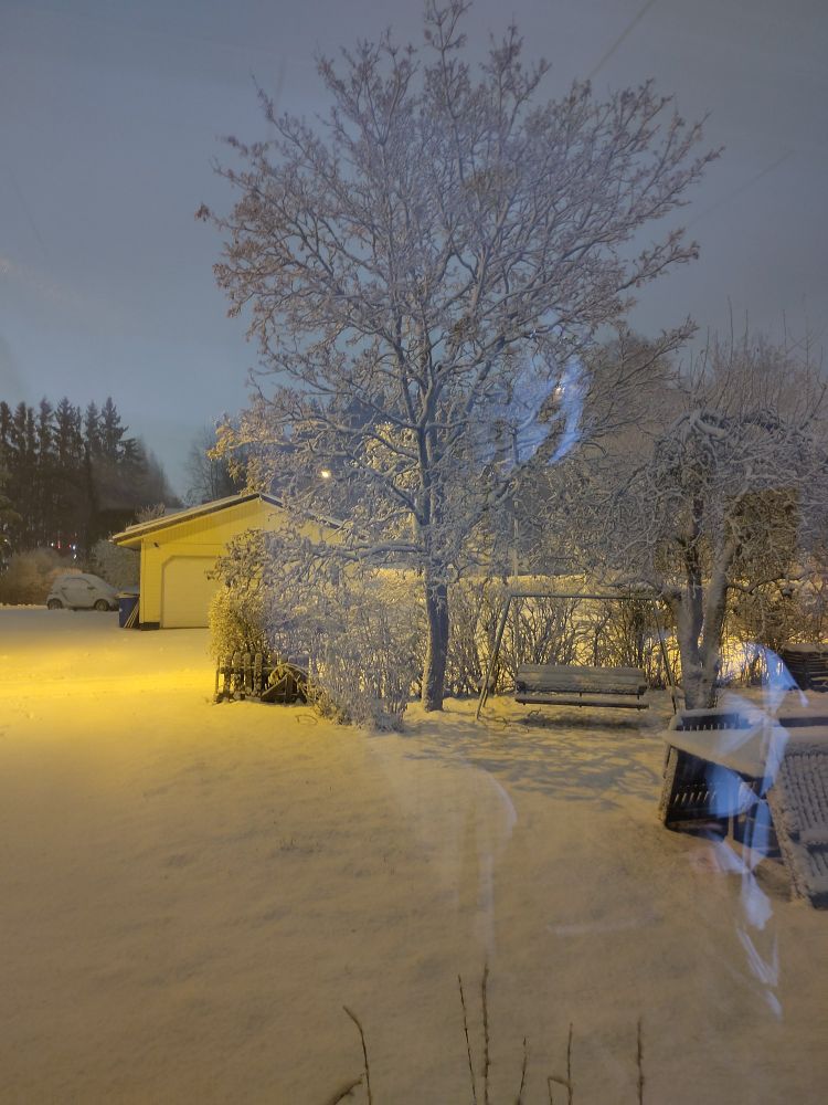 Snowy garden at night 