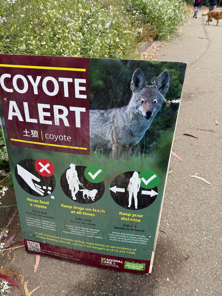 Coyote Alert sign at local park that has googly eyes. Dog and humans in background. 
