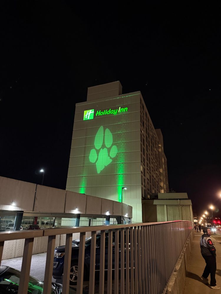 Lighted up paw print projection on holiday in (but green) 