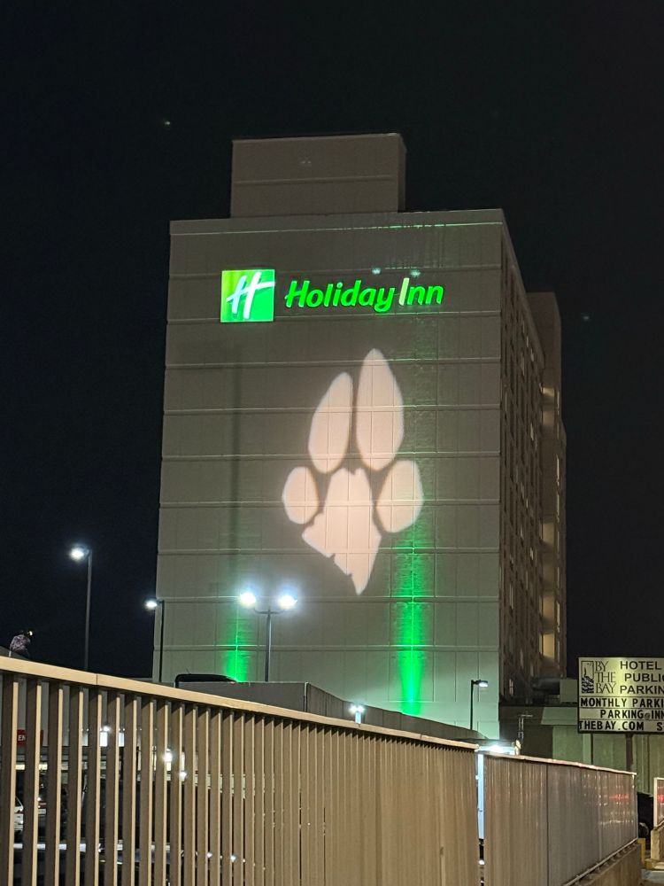 A picture of a paw print on the holiday in 