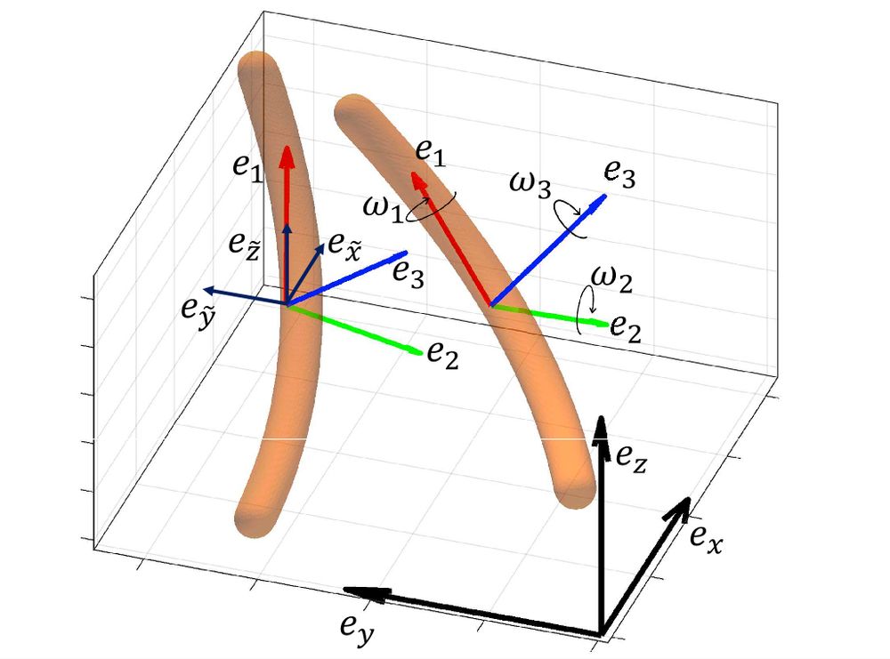 Rotation and translation of a long curved fiber