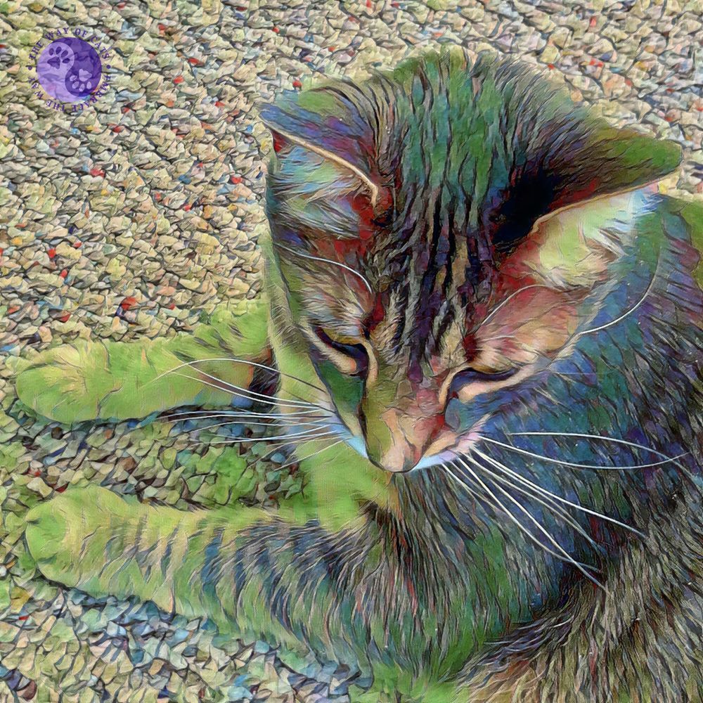 Shot from above, a seemingly downcast gray tabby cat, front paws extended, looks down at a pale Berber rug, illustrating Dear Pammy, Can cats get depressed?