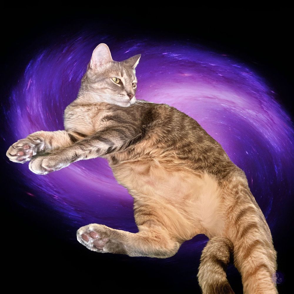 Against the background of a swirling purple black hole in a stark dark sky, there’s a gray and caramel tabby, long and lean, big pawed and big eared, with golden eyes gazing out of frame, as he seems to be sucked inside of the black hole.