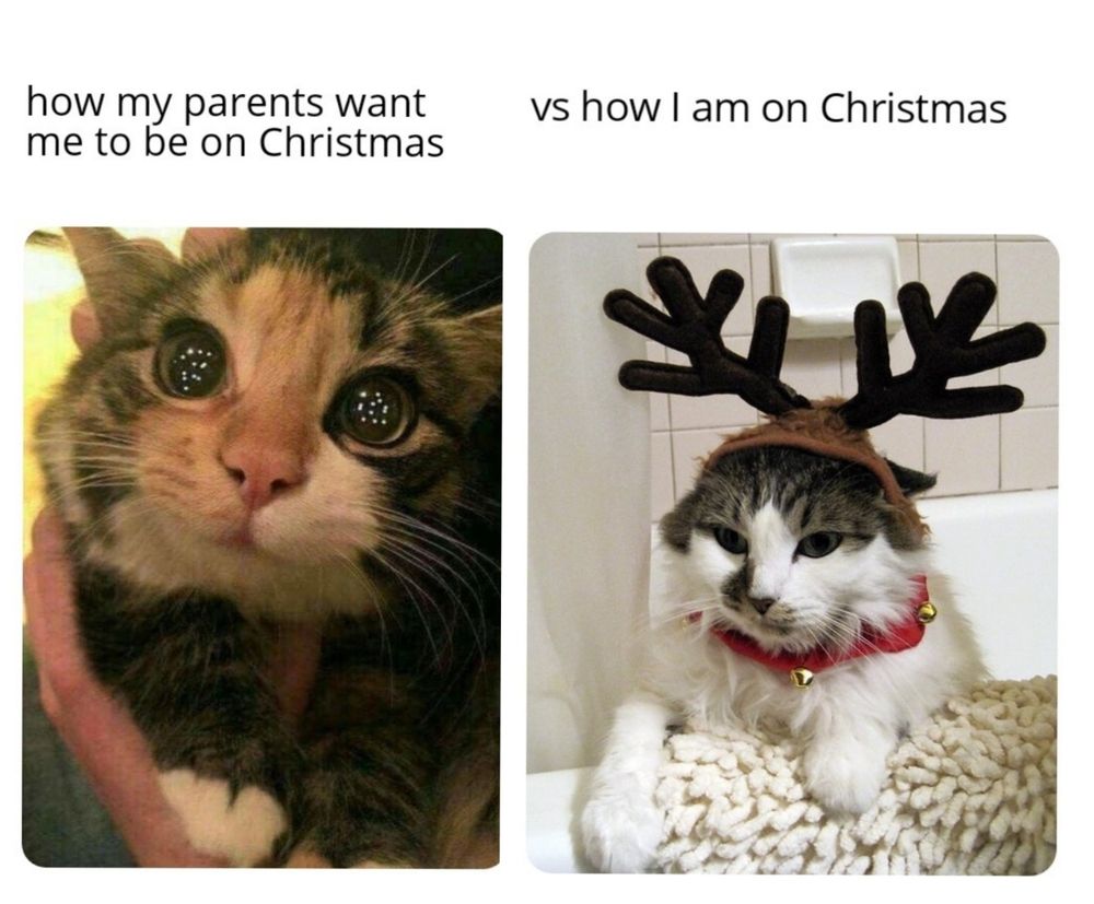 Meme, two cats, one looks cute with wide open round eyes, another cat looks mad/annoyed. Above the cute is a text with "how my parents want me to be on Christmas" and the other cat has the text "vs hiw I am on Christmas"