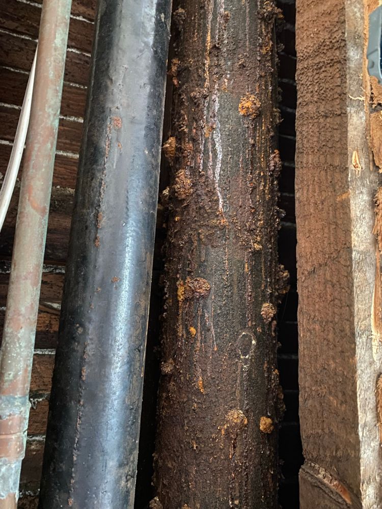 A 4” cast iron soil stack serving three bathrooms and a kitchen, in very poor condition