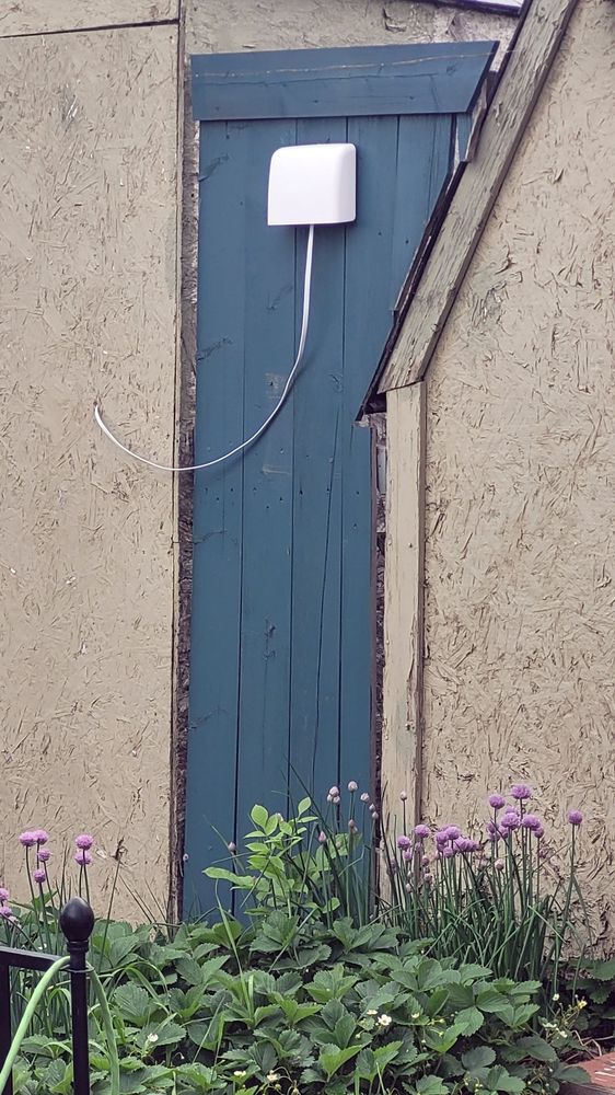A square white air quality monitor is mounted to a fence about five feet off the ground between two wooden garden sheds and among strawberries and purple blooming chives.