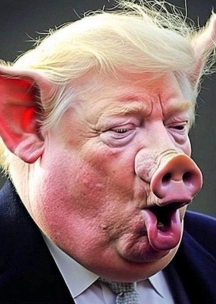 Fire all Republican elected officials.  Not one of them has shown up to work for their constituents, much less answer to folks they had sworn to represent. That, in fact, are stealing money by simply not working in their elected capacities Demand a refund of their salaries and expenses 