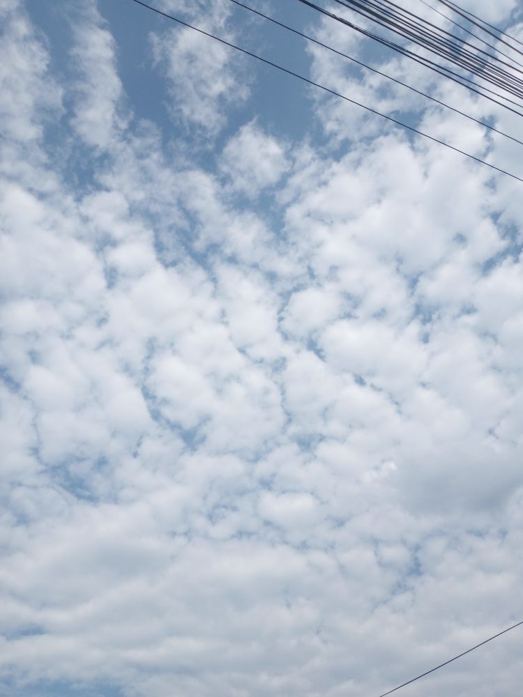 White clouds