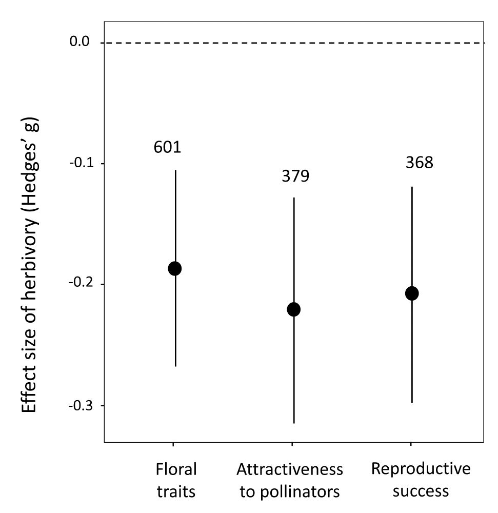 Figure showing the average effects of herbivory on floral traits, pollinator visits, and plant reproduction. Each point shows the estimated impact, and the bars indicate the range of values we are 95% confident about. The number of studies contributing to each estimate is shown above the bars. The dashed vertical line marks ‘no effect’. Values whose bars do not touch this line show a meaningful difference between undamaged and herbivore-damaged plants.