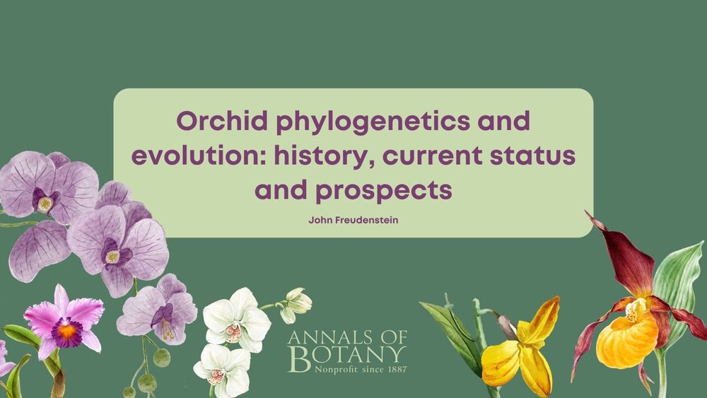 Orchid phylogenetics and evolution: history, current status and prospects