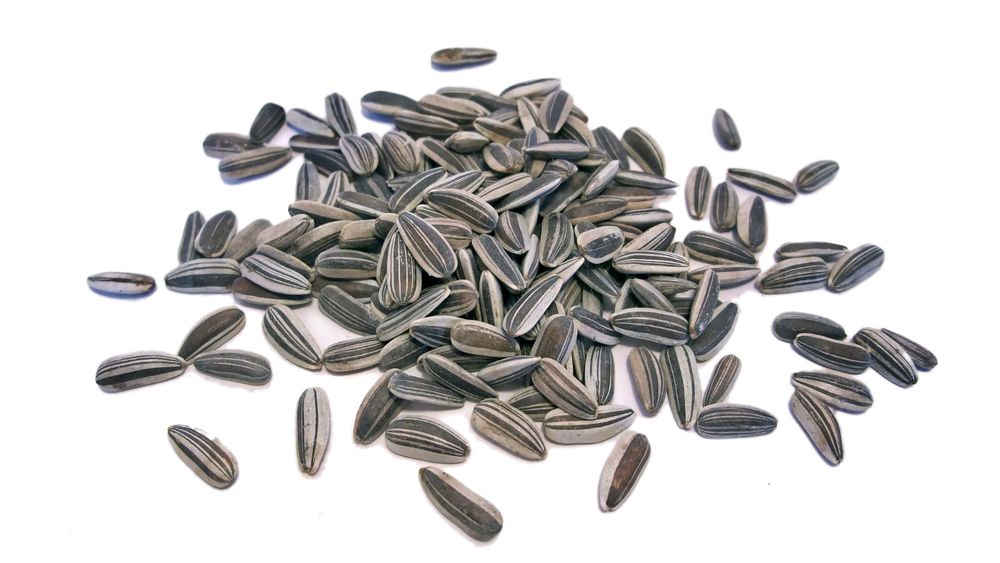 Sunflower seeds. Canva.
