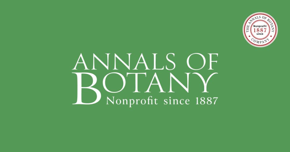 Early overyielding in a mixed deciduous forest is driven by both above- and below ground species-specific acclimation