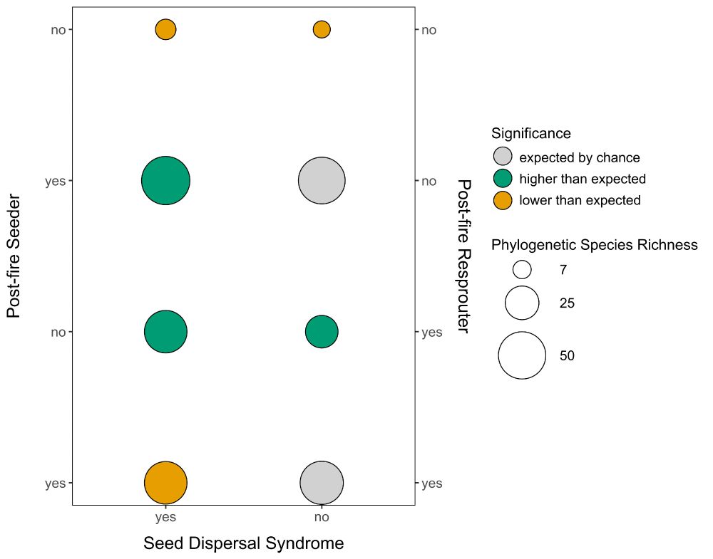 How often plants combine different post-fire recovery strategies.
The chart shows the relationship between resprouting and seeding, regardless of how their seeds are dispersed.

- Green circles show combinations that occur more often than expected by chance.
- Orange circles show combinations that occur less often than expected.
- Grey circles show combinations that occur as often as expected.
The size of each circle reflects how many species fall into each category.