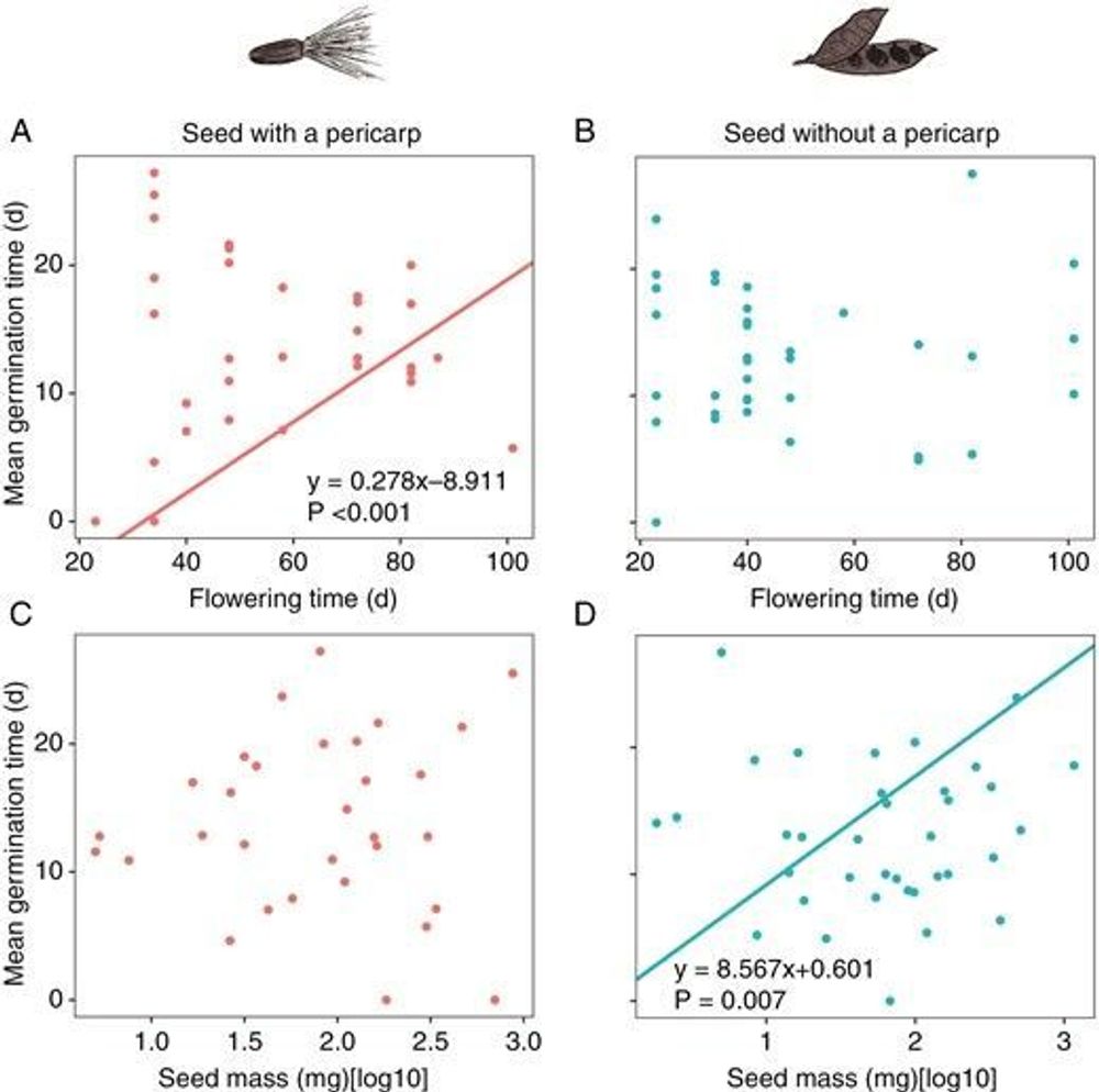 Mother-reliant or self-reliant: the germination strategy of seeds in a species-rich alpine meadow is associated with the existence of pericarps