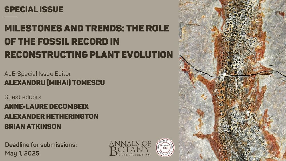 Milestones and trends: the role of the fossil record in reconstructing plant evolution