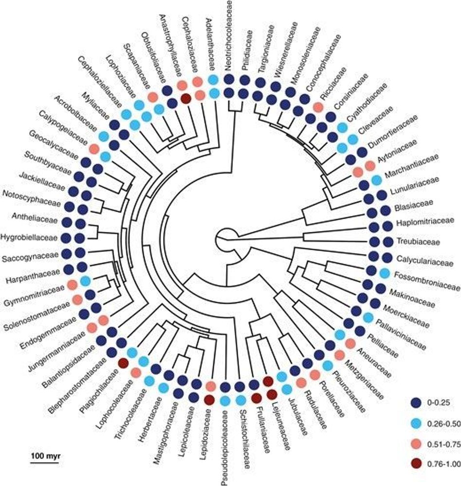 Spatial patterns and climatic drivers of phylogenetic structure of regional liverwort assemblages in China