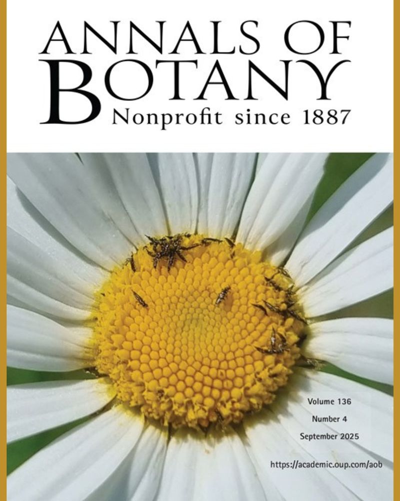 The cover image shows an oxeye daisy (Leucanthemum vulgare) visited by pollenforaging thrips. Thrips are minute plant and flower visitors and are commonly viewed as pests, but they are key pollinators of a wide range of plant taxa. [See van der Kooi et al., pp. 669–682. Picture credit: Sara Leonhardt.]