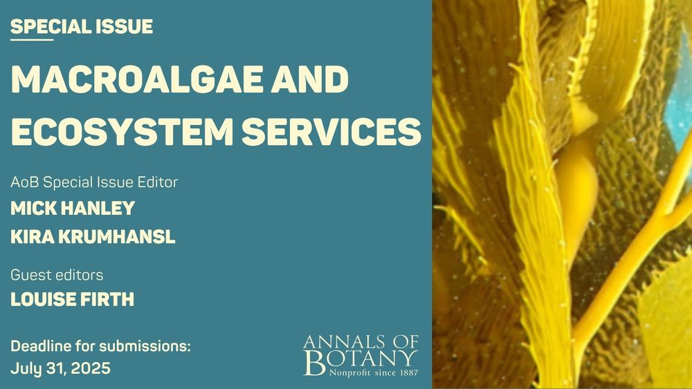 Flyer for the Annals of Botany Special Issue titled 'Macroalgae and Ecosystem Services'. It features the names of editors Mick Hanley, Kira Krumhansl, and guest editor Louise Firth. The submission deadline is July 31, 2025. The background is teal on the left, with a close-up image of golden-brown macroalgae on the right.
