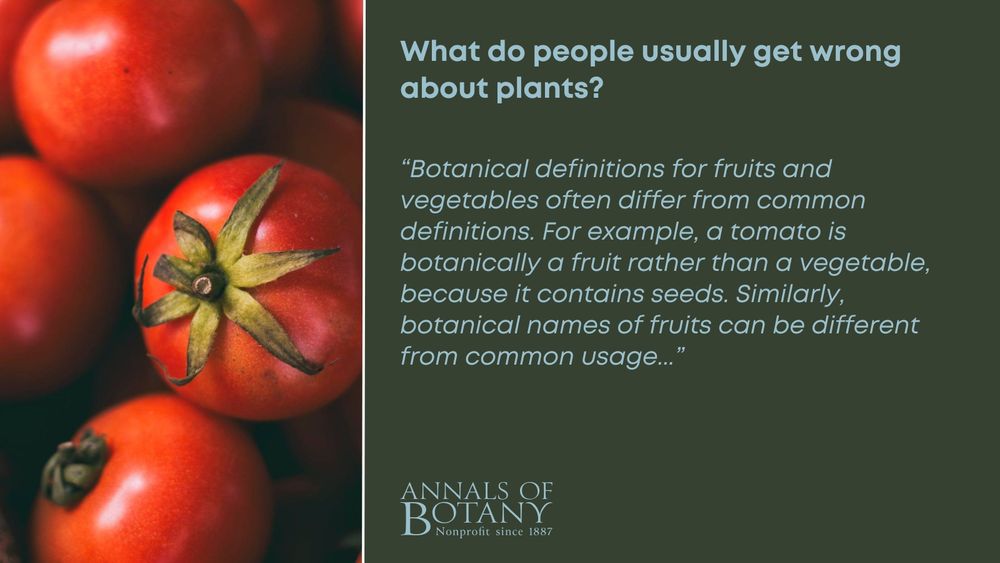 What do people usually get wrong about plants?
Botanical definitions for fruits and vegetables often differ from common definitions. For example, a tomato is botanically a fruit rather than a vegetable, because it contains seeds. Similarly, botanical names of fruits can be different from common usage. For instance, bananas and tomatoes are both considered to be berries, while raspberries and blackberries are considered to be aggregate fruits. Peanuts, despite their name, are actually legumes rather than nuts, and belong in the same plant family as peas and beans. The classification of fruit type depends on a number of factors, including whether the flower it developed from a simple carpel (essentially the plant ovary), a fused carpel, or multiple carpels. Other factors that can influence fruit type include whether a fruit is dry or fleshy, and how it breaks apart.