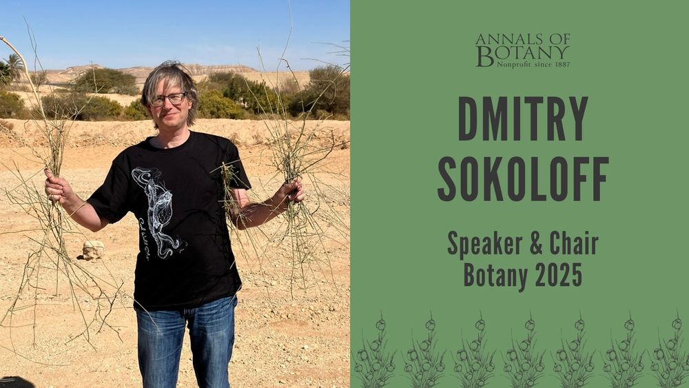 Flyer featuring Dmitry Sokoloff, Speaker & Chair at Botany 2025. On the left, a person stands outdoors in a desert-like landscape holding dry plant stems in both hands, wearing jeans and a black T-shirt with a botanical design. On the right, a green panel displays the Annals of Botany logo and text introducing Dmitry Sokoloff as a featured speaker and chair.