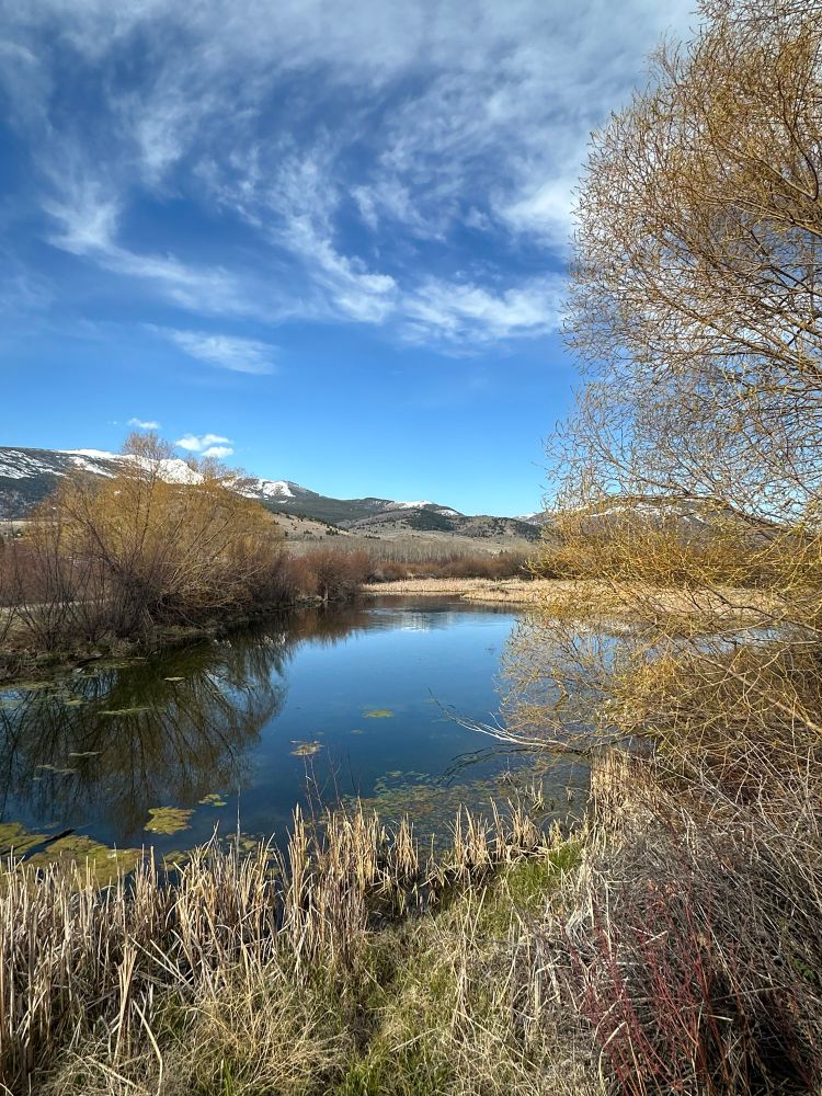 Scenic picture of a pond with snow capped peaks in the background