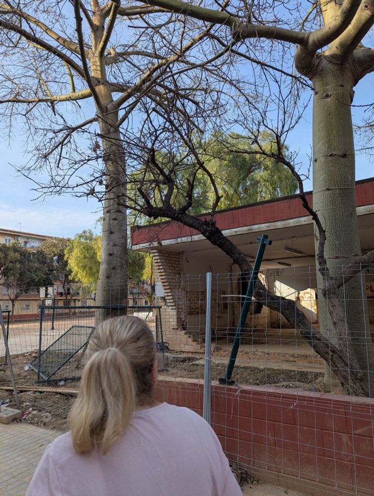Señora de 60 años de espaldas, observando con nostalgia la destrucción del colegio de la calle donde parte de la familia vive. Lleva coleta. En esta calle vivío toda su infancia y adolescencia. Se ve una parte del colegio con las paredes reventadas por la fuerza del agua. Flanquean la vista dos árboles sin hojas. Hay restos de barro, desperdicios y vallas caidas en el suelo. Parte de la valla de ladrillo se ha perdido.
