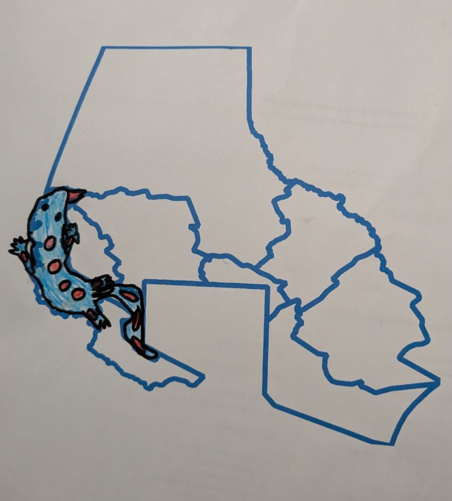 Baltimore County map with new district lines and a blue and pink salamander drawn over one of them.